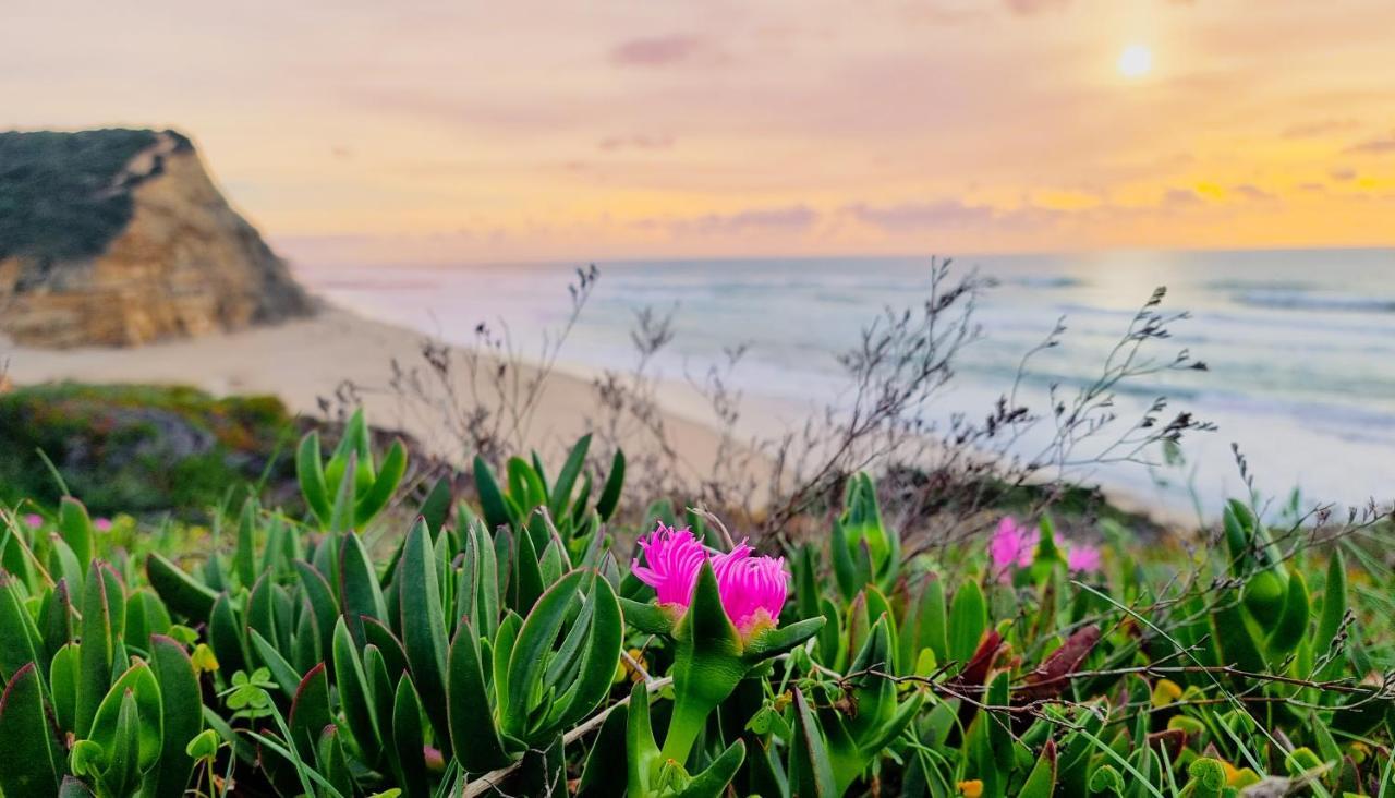 Tika Surf Camp Ericeira Hotel Carvoeira Bagian luar foto